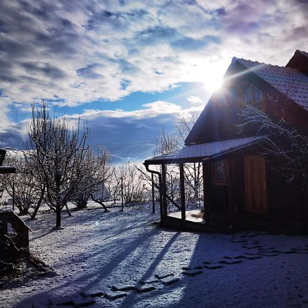 Brvnare Stojic Daire Kokin Brod Dış mekan fotoğraf