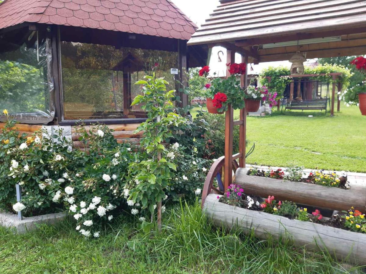 Brvnare Stojic Daire Kokin Brod Dış mekan fotoğraf